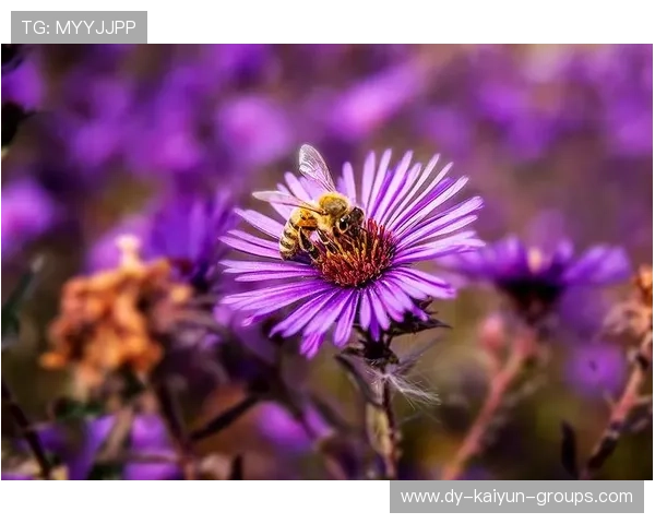 ÃÓÐÁ-¸-+-§¦+¦+++¦ßÃ¦-=Â¤ú¼+¦+¦++ã+